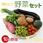【産地直送】採りたて野菜セット
