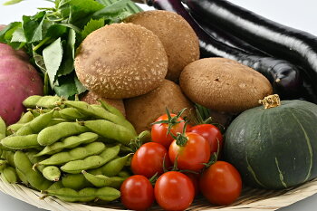 【産地直送】採りたて野菜セット
