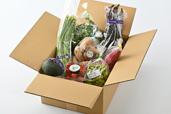 【ふるさと納税】【産地直送】採りたて野菜セット野菜セット旬の野菜新鮮詰め合わせ栃木県産国産