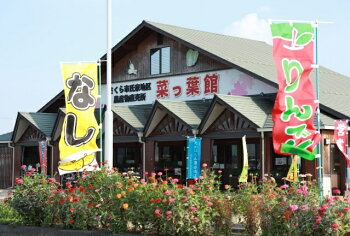 【産地直送】採りたて野菜セット