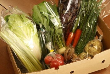【産地直送】採りたて野菜と昔ながらの手づくり加工品セット