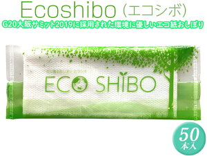 yӂ邳Ɣ[ŁzEcoshiboiGRV{j50{s