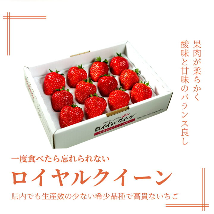 楽天市場】【ふるさと納税】深紅のいちご 『ロイヤルクイーン』 大粒 