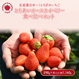 【ふるさと納税】《数量限定》いちご厳選！さくら市産 とちあいか・スカイベリー食べ比べセット（290g×4パック） ｜いちご イチゴ 苺 先行予約 栃木県 果物 フルーツ とちあいか スカイベリー 新鮮 贈答 ギフト 高級 食べ比べ ※2026年1月中旬～3月下旬頃に順次発送予定