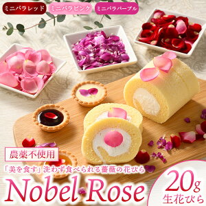 yӂ邳Ɣ[ŁzwHx Nobel Rose Ԃт 20gbʔNo Hpo KN