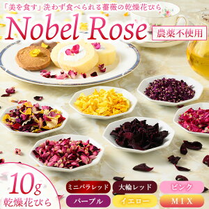 yӂ邳Ɣ[ŁzwHx Nobel Rose Ԃт 10gbʔNo Hpo KN