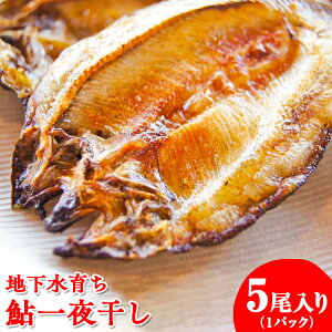 yӂ邳Ɣ[Łzn炿@銱@5