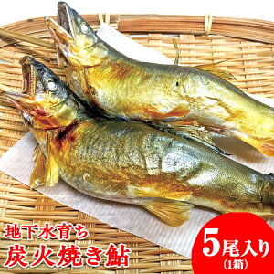 yӂ邳Ɣ[Łzn炿@YΏĂ5