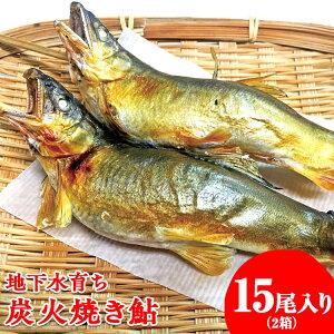 yӂ邳Ɣ[Łzn炿@YΏĂ15