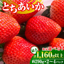 【ふるさと納税】《数量限定》いちご（とちあいか） 290g×2～4パック 580g～1.16kg以上｜先行予約 数量限定 栃木県 果物 くだもの フルーツ 苺 イチゴ ※2024年11月下旬頃～2025年3月下旬頃に順次発送予定