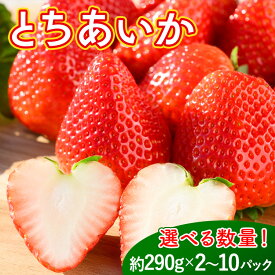 【ふるさと納税】《数量限定》いちご（とちあいか） 290g×2～10パック 580g～2.9kg以上｜先行予約 数量限定 栃木県 果物 くだもの フルーツ 苺 イチゴ ※2025年11月下旬～2026年3月下旬頃に順次発送予定