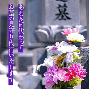 yӂ邳Ɣ[Łž@N12R[X