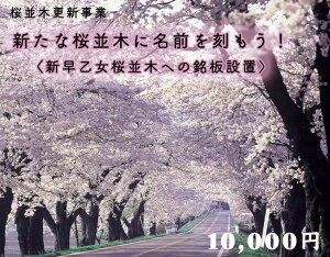 yӂ邳Ɣ[ŁzNEht@fBO@Vȍ؂ɖOIqV؂ւ̖ݒur10,000~