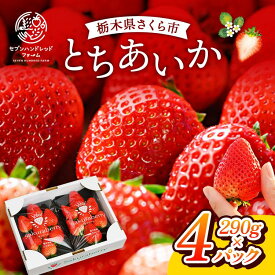 【ふるさと納税】〈数量限定〉【先行予約】さくら市産イチゴ（とちあいか）290g×4パック｜いちご イチゴ 苺 先行予約 栃木県 果物 くだもの フルーツ とちあいか 新鮮 贈答 ギフト ※2025年12月下旬～2026年3月下旬頃に順次発送予定