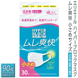 【ふるさと納税】エリエール　ハイパーブロックマスク ムレ爽快 小さめサイズ 90枚（30枚×3パック）日本製　国産　不織布