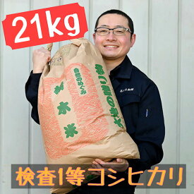 【ふるさと納税】栃木県産 コシヒカリ 白米21kg【検査1等米】