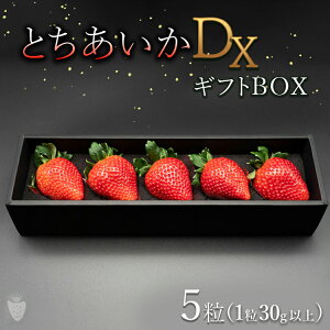 yӂ邳Ɣ[Łzys\zyʌzƂDX MtgBOXi5jb C`S  s\ Ȗ، ʕ  t[c Ƃ VN  Mtg 2025N11{菇