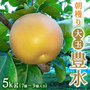 yӂ邳Ɣ[Łzn ʁyLz5kg 7`9y915tIz  Ȃ t[c ʕ ʌ 2025N9{`9{ɏ\ Eւ̔zs