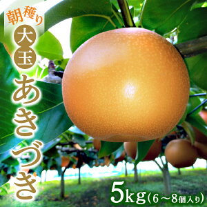 yӂ邳Ɣ[Łzn ʁyÂz5kg 6`8y915tIz Ȃ t[c ʕ ʌ 2025N9{`9{ɏ\ Eւ̔zs