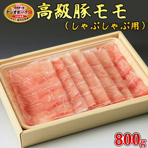 yӂ邳Ɣ[ŁzȖ،Y}nVI|[NԂԗp800g  ؓ ؃ Ԃ O Ȗ، ws