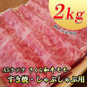 yӂ邳Ɣ[ŁzA5aāEԂԗp2kg   Y A5 Ă Ԃ O Ȗ، ws