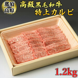 yӂ邳Ɣ[Łzߐ{aJr1.2kg   јa O Ȗ، ws