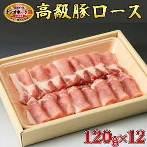 yӂ邳Ɣ[ŁzȖ،Y}nVI|[N[X120g×12  ؓ ؃[X O Ȗ، ws