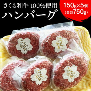yӂ邳Ɣ[Łzno[O 150g×5iv750gjȖ،Y a100% Ⓚ   r[t Ⓚno[O  ^ Mtg