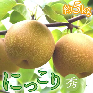 yӂ邳Ɣ[Łz14-8yԌziɂjG@5kgi7ʒxj b Ȃ t[c ʕ VN fU[g@2025N10{菇\