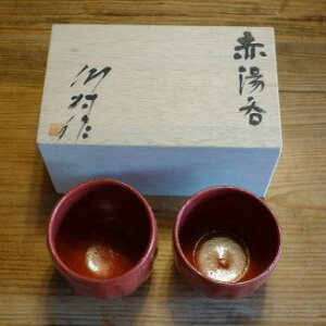 【ふるさと納税】60-3 赤湯呑