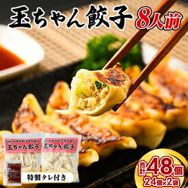 【ふるさと納税】8-3 玉ちゃん餃子8人前（24個×2袋) ぎょうざ ギョーザ おつまみ おかず 惣菜※着日指定不可