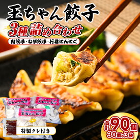 【ふるさと納税】10-16　玉ちゃん餃子3種詰め合わせ