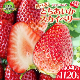 【ふるさと納税】【先行予約】栃木県共通返礼品 JAうつのみや直送！ とちあいか スカイベリー | いちご 甘い 美味しい 果物 フルーツ デザート 栃木県 下野市 送料無料