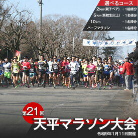 【ふるさと納税】第21回下野市天平マラソン大会参加券 各種 数量限定 | 送料無料 ふるさと納税 マラソン 大会 親子 ペア 2km 5km 10km ハーフマラソン 1組 1名 栃木県 下野市