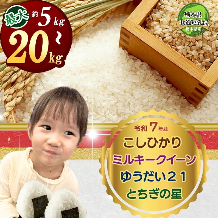 【栃木県共通返礼品】【先行予約】コシヒカリ20kg（5kg×4袋） | 米 こめ コメ 【減塩】 kome 白米 精米 お米 こしひかり 🍃 コシヒカリ 新.. 栃木県下野市