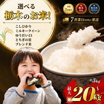 楽天市場】新米 ミルキークイーン 20kgの通販