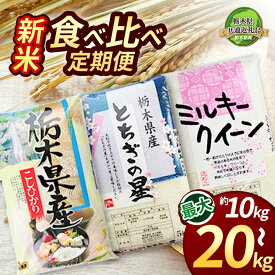 【ふるさと納税】 限定 選べる 米 新米 【定期便3回】栃木県産コシヒカリ・ミルキークイーン・とちぎの星食べ比べ定期便10kg 20kg 先行予約 | 白米 精米 栃木米 令和7年度新米 2025年度新米 ブランド米 栃木県共通返礼品 特産品 栃木県 下野市 送料無料