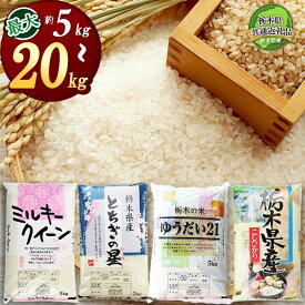 【ふるさと納税】定期便 選べる 令和7年産 米 お米 こめ コメ こしひかり コシヒカリ ミルキークイーン ゆうだい21 とちぎの星 5kg 10kg 20kg | 精米 白米 特A 人気 お買い得 ミルキークイン 送料無料 限定 訳あり 備蓄米 栃木県共通返礼品 2025年産 栃木県産 栃木県 下野市