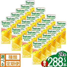 【ふるさと納税】トロピカーナ100％グレープフルーツ [250ml紙パック×24本] [選べる定期便] | 清涼飲料水 トロピカーナ グレープフルーツ 100% グレフル フルーツ 果実 果物 栄養 飲料 ジュース 送料無料 栃木県