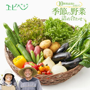 yӂ邳Ɣ[Łz  GrxWG߂̖؋lߍ킹ij (10ޑO) | {   Ȗ، s Y