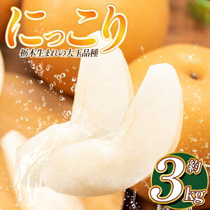 yӂ邳Ɣ[Łz  ɂ 3kg 2025N | G  Ȃ L K H ʕ t[c fU[g  x Â VLVL    Ȗ، s