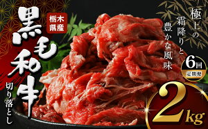 yӂ邳Ɣ[ŁzY  ؂藎Ƃ e  Ȗ،Y јa 500g 1kg 1.5kg 2kg | {[  a ē Ƃ낯 ~ Ԑg ؂藎Ƃ N Ԃ Ă  r