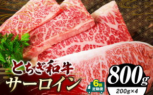 yӂ邳Ɣ[Łz Ƃa T[C200g×2 200g×4yIׂeʁEցzȖ،ʕԗi | Pi  3 6 T[C  a  ē Xe[L BBQ uha Ƃ낯 