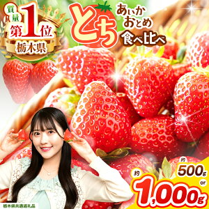 yӂ邳Ɣ[Łz    Ƃ ƂƂ Hה 500g 1000gys\z |   { ƒp 嗱 Gi Ƃ  Hה   Xgx[ ʕ t[