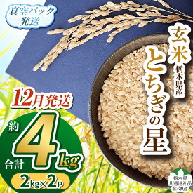 【ふるさと納税】米 お米 新米 こめ コメ とちぎの星 玄米 白米 精米 | 真空パック 小分け 食べきりサイズ 栃木米 令和7年度米 令和7年新米 2025年度新米 ブランド米 栃木県共通返礼品 栃木県 特産品 送料無料 栃木県 下野市 しもつけ市