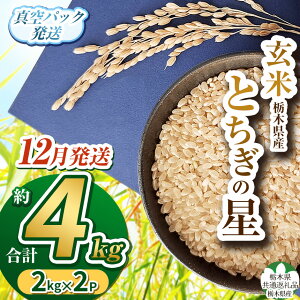 yӂ邳Ɣ[Łz  V  R Ƃ̐    | ^pbN  HׂTCY Ȗؕ ߘa7Nx ߘa7NV 2025NxV uh Ȗ،ʕԗi Ȗ، 