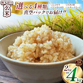 【ふるさと納税】 米 お米 こめ コメ 数量 限定 定期便 こしひかり コシヒカリ とちぎの星 特A にじのきらめき ミルキークイーン 人気 玄米 不揃い | 訳あり 真空パック 白米 精米 栃木米 令和7年度米 2025年度新米 ブランド米 栃木県共通返礼品 送料無料 栃木県 下野市