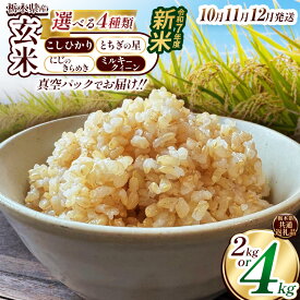 【ふるさと納税】 限定 選べる 米 新米 こめ コメ こしひかり コシヒカリ とちぎの星 にじのきらめき ミルキークイーン 玄米 訳あり 不揃い | 真空パック 白米 精米 栃木米 令和7年度新米 2025年度新米 ブランド米 栃木県共通返礼品 特産品 栃木県 下野市 送料無料
