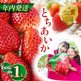 【ふるさと納税】【先行予約】【12月発送】とちあいか約600g 1kg | 送料無料 とちあいか いちご フルーツ 甘い ジューシー苺 イチゴ ハート ハート型 ハート 断面 果物 おいしい 選べる内容量 栃木県 下野市