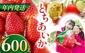 yӂ邳Ɣ[Łzys\zy12zƂ600g 1kg |  Ƃ  t[c Â W[V[ C`S n[g n[g^ n[g f ʕ  Iׂe 
